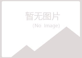 加查县夜山机械有限公司